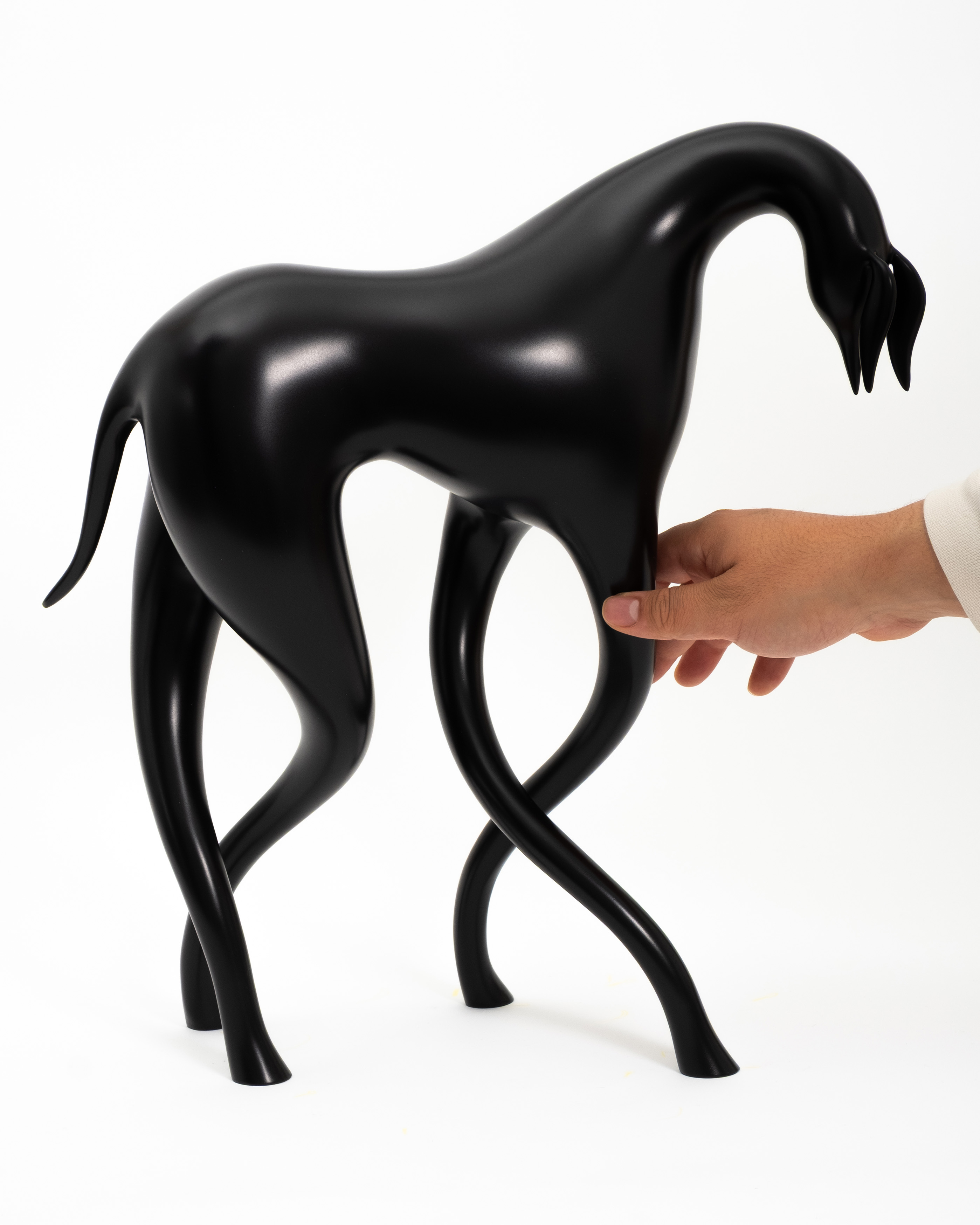 THE HIDDEN STRUGGLES | CASE STUDYO